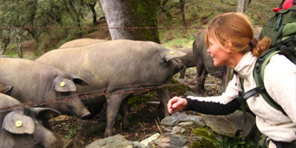 ruta jamón ibérico