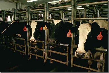 Incoherencia manifiesta Incoherencia manifiesta