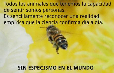 El rechazo a los diferentes