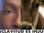 necesario cambio perspectiva