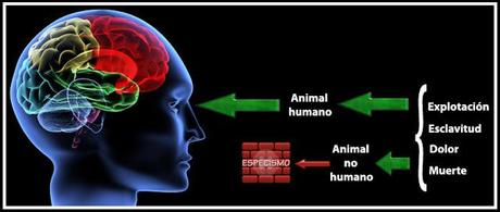 Richard Dawkins y la cuestión del especismo Richard Dawkins y la cuestión del especismo