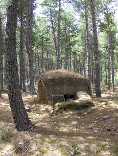 LA LUCHA POR EL AGUA DE MADRID