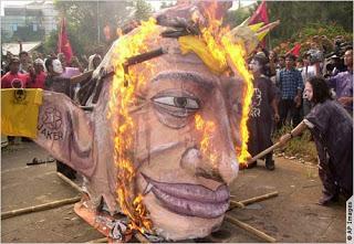 Los colmillos de la planta de arroz