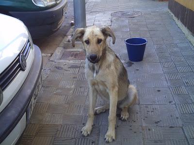 Peticion desesperada para Tina.‏