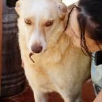 NEWMAN, su cara es el puro reflejo de la bondad.