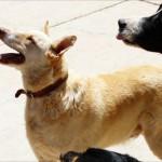 NEWMAN, su cara es el puro reflejo de la bondad.