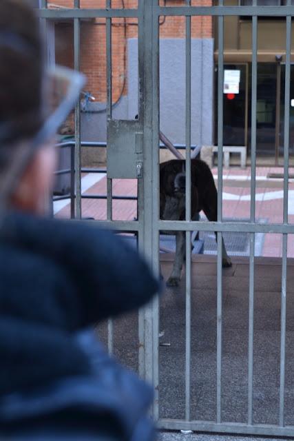 Look escocés. Trainspotting.