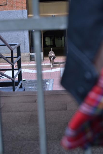 Look escocés. Trainspotting.