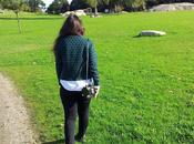 Jersey topos