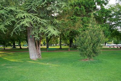 UN POEMA NUEVO Y NOTICIAS NOVÍSIMAS