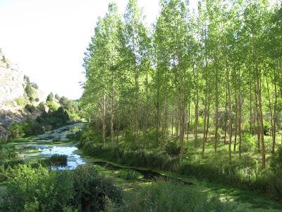 UN POEMA NUEVO Y NOTICIAS NOVÍSIMAS