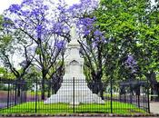 cicatrices fiebre amarilla Buenos Aires