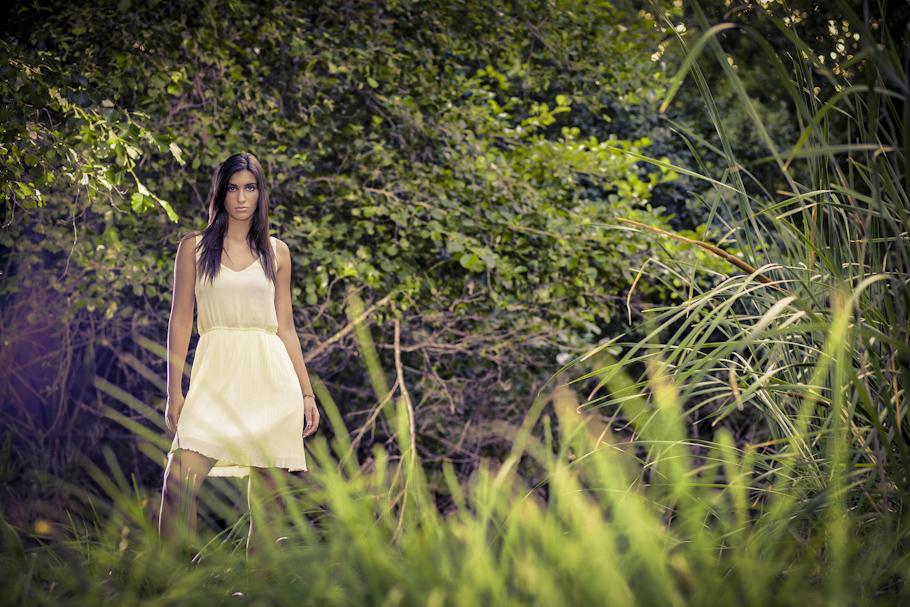 BOOK MODELO 1 3 En el bosque...