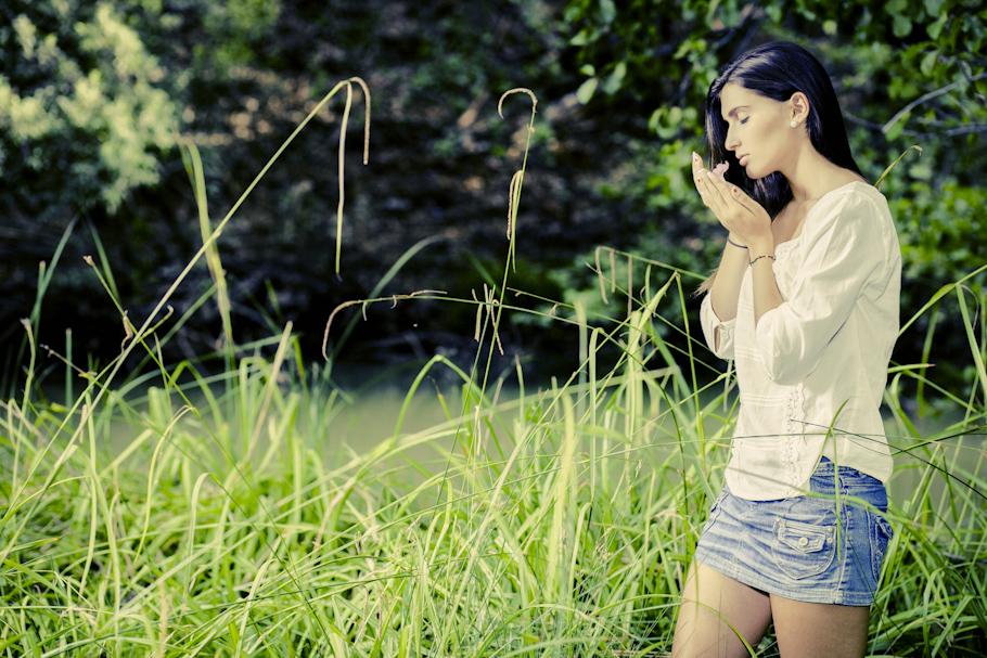 BOOK MODELO 6 En el bosque...