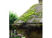 Verde fotogalería (postaday) Weekly Photo Challenge: Green Daily Post