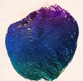 corazon computacional El corazón computacional   VIDEO