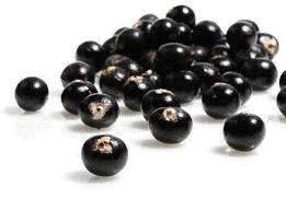 a1157 Bayas de acai, una buena fuente de nutrientes y antioxidantes  