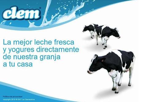 PRODUCTOS DE LA REGION............(Yogures).- PRODUCTOS DE LA REGION............(Yogures).-