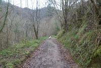 Hotel rural El Gran Duque. Oles, Asturias