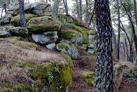 Sigüenza, destino ideal para enamorados