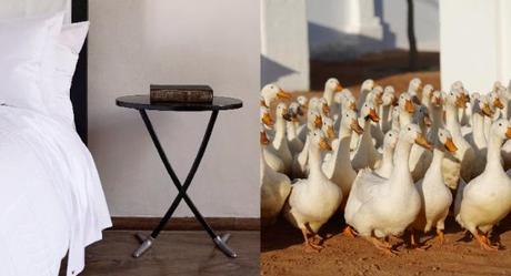 BabylonStoren, el mejor alojamiento culinario 2012