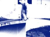 Virals Summer Girls (Zoo Music, 2013)