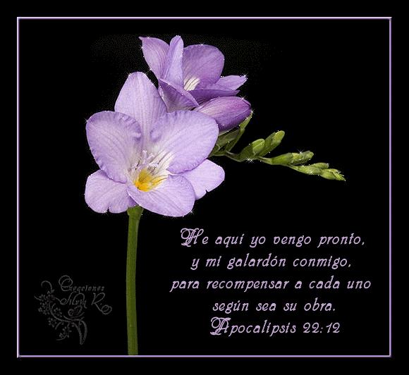 ¡He aquí, vengo pronto!