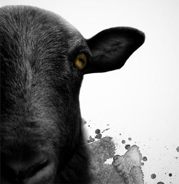 Lo que más me molesta de un blog personal