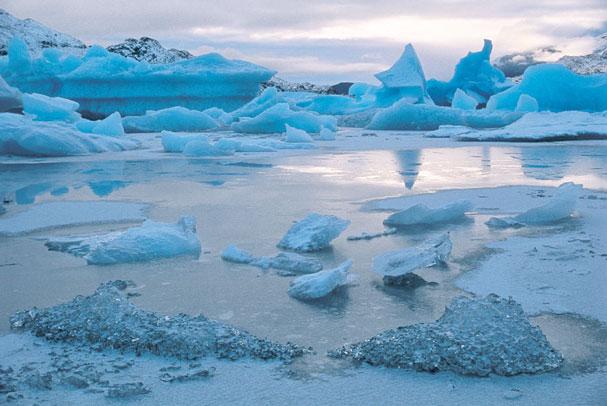 Cuando aumente la temperatura  4 grados DESAPARECE EL 95% DE LA POBLACIÓN MUNDIAL