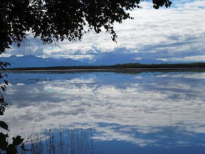 'Caribou Island' de David Vann