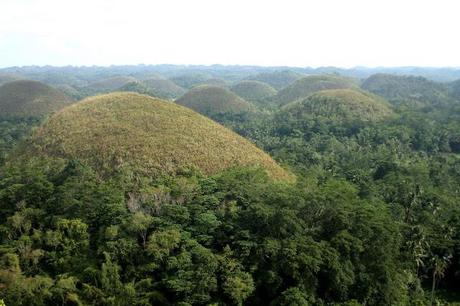 MI VIAJE A FILIPINAS-OBSERVANDO AVES MI VIAJE A FILIPINAS-OBSERVANDO AVES