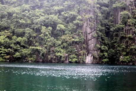 MI VIAJE A FILIPINAS-OBSERVANDO AVES