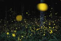 Las trampas galácticas del Hubble