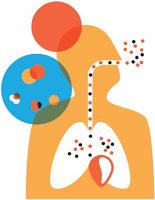 Calidad del aire, salud y movilidad sostenible