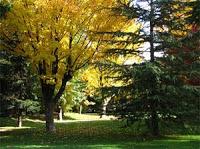 Calidad del aire, salud y movilidad sostenible