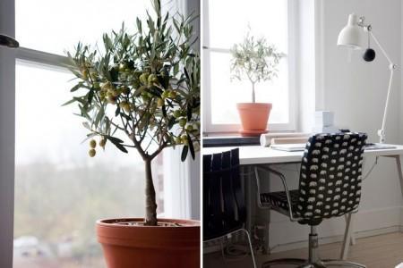 tendencias decoración 2012 2013 blanco negro nórdico sillón chaise longe blanco interiores pequeños inspiración muebles de ikea estilo nórdico diseño nórdico diseño de interiores decoración sueca decoración pisos pequeños decoración muebles de ikea decoración estilo nórdico decoración escandinava decoración en blanco y negro decoración de interiores deco blogger cojines blancos y negros blog interiorismo blog decoración nórdica alfombra de rayas blancas y negras 