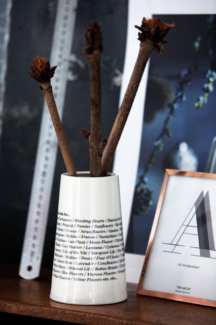 La navidad de House Doctor