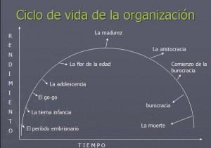 ciclo de vida de las organizaciones