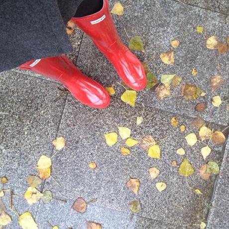 snapshots of the week 2