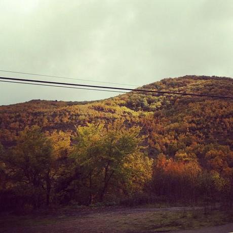 snapshots of the week 2