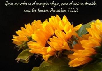 Como superar y evitar la depresión