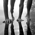 largar En la línea de salida