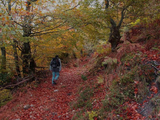 circular al maciédome