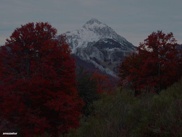 circular al maciédome