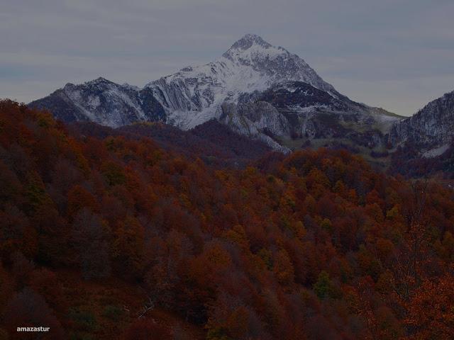 circular al maciédome