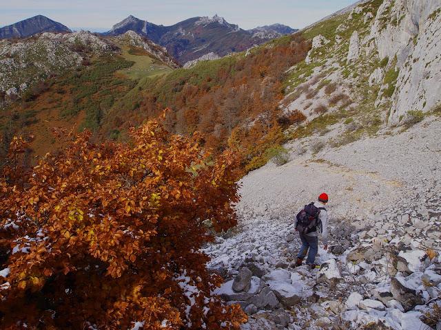 circular al maciédome
