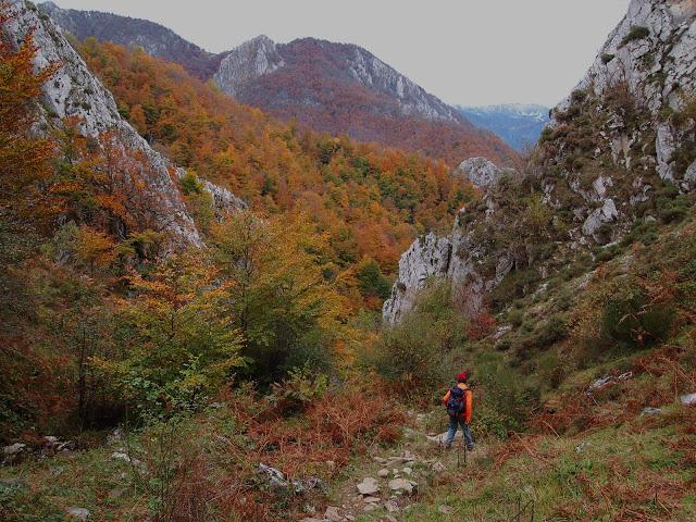 circular al maciédome