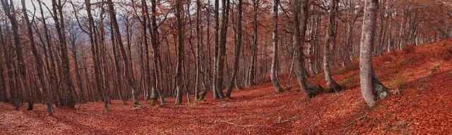 circular al maciédome