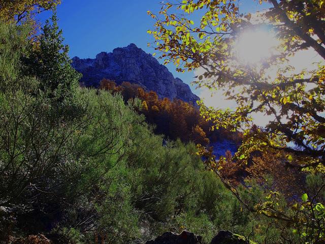 circular al maciédome