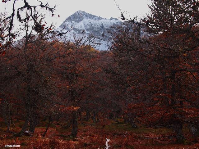 circular al maciédome